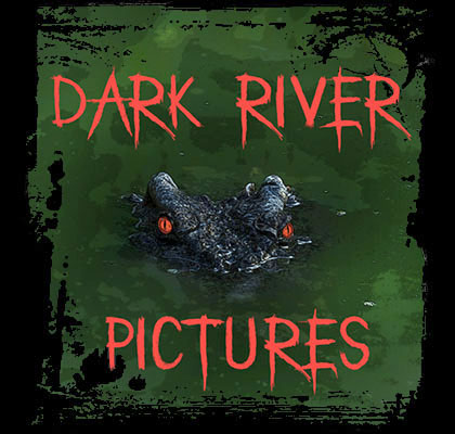 Dark River Pictures Logo Image