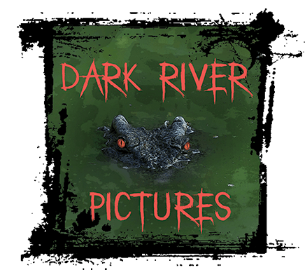 Dark River Pictures Logo Image