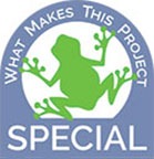 What Makes This Project Special Graphic Image